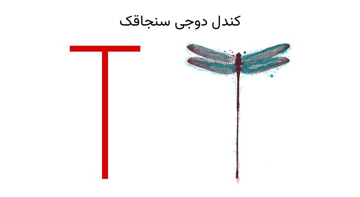 کندل دوجی سنجاقک