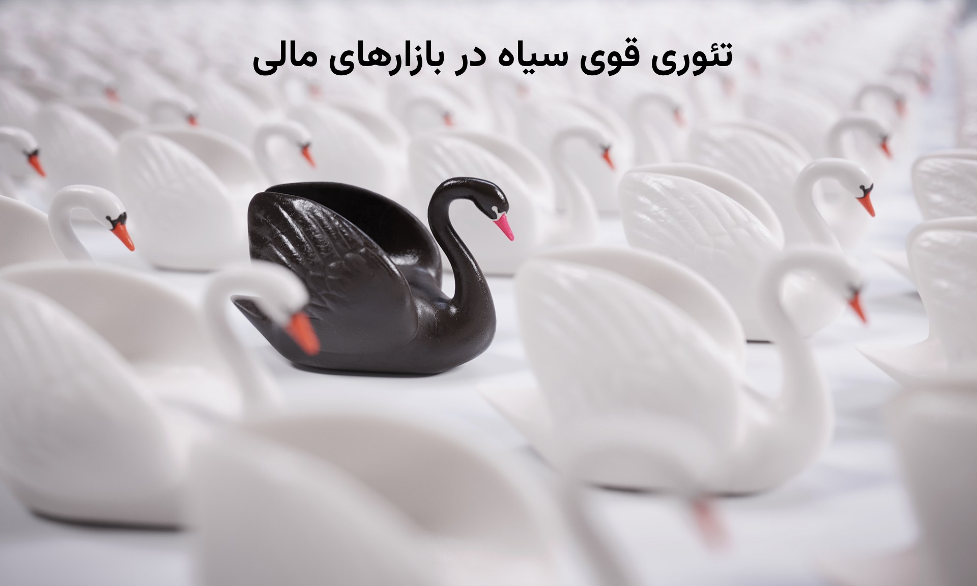 تئوری قوی سیاه