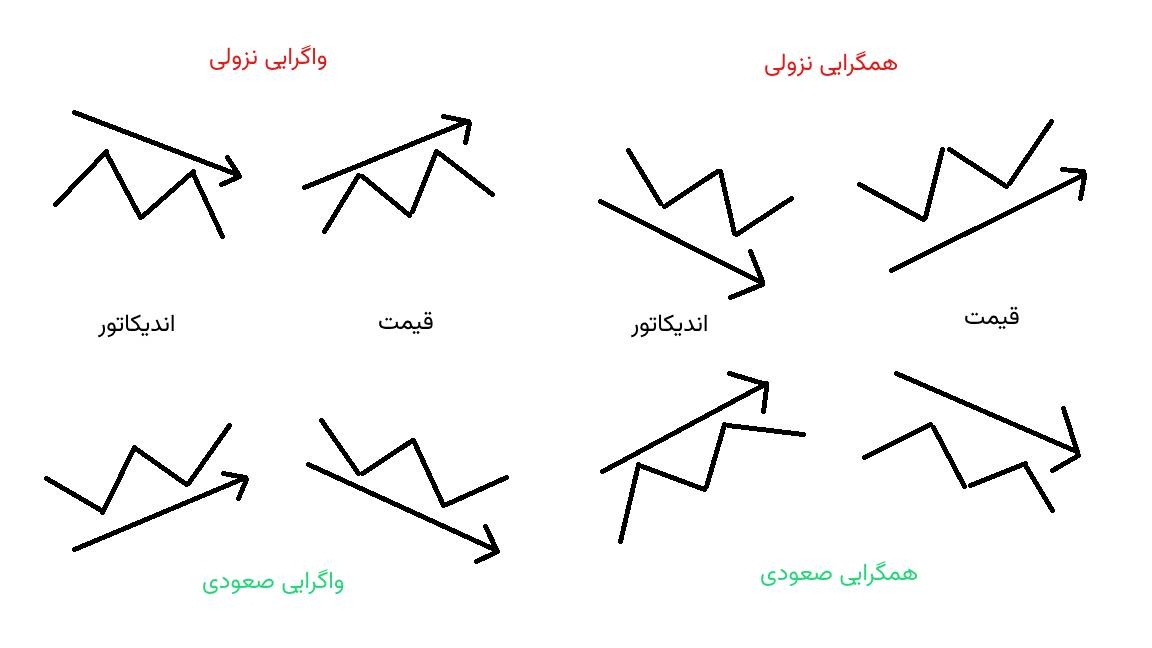 تفاوت دایورژانس و کانورجنس